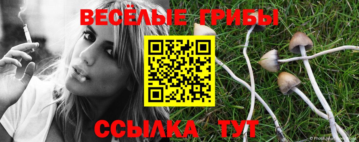 Фрязино  Галлюциногенные грибы GOLDEN TEACHER  Вход с VPN  Псилоцибиновые грибы мицелий 